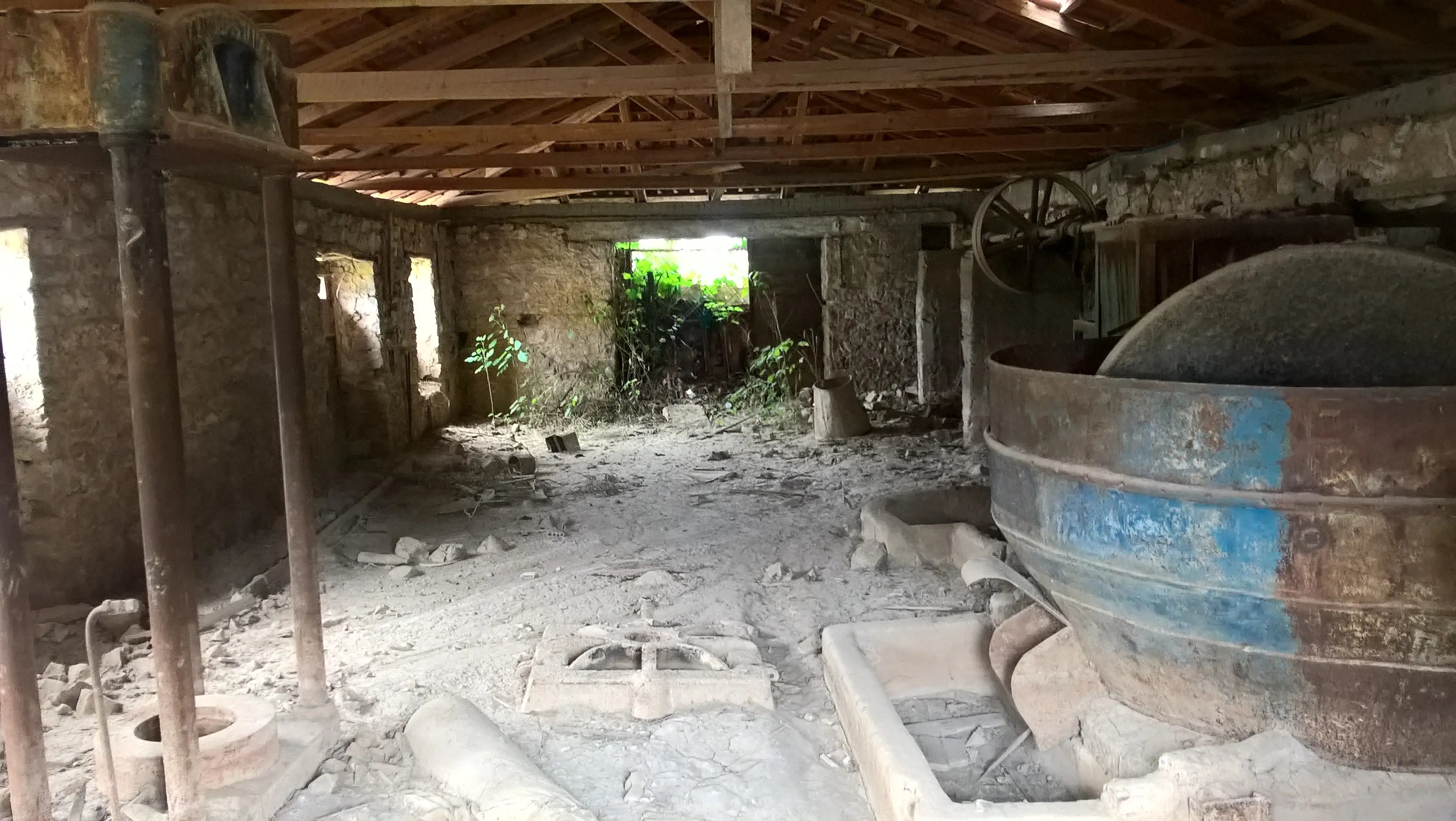 Μελέτη Μουσείου Ελιάς